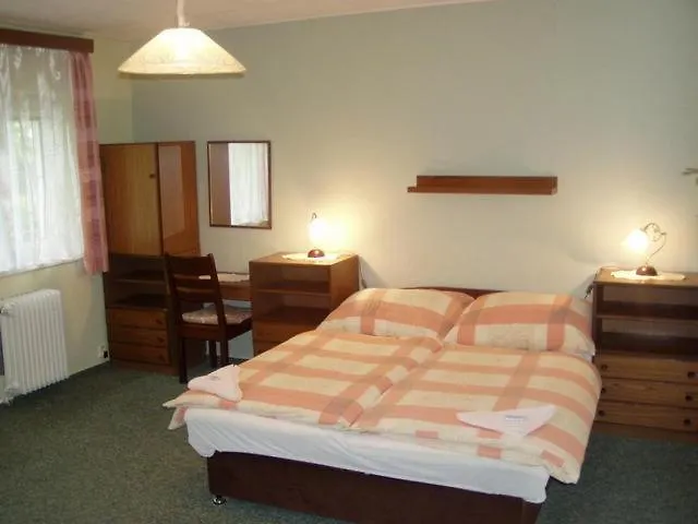 Pension Sparta Prague 3*,